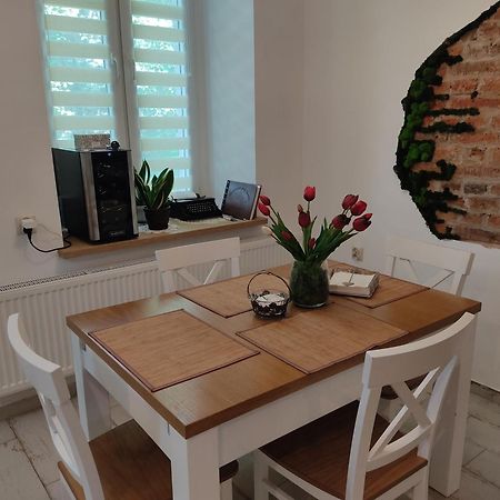 Apartament Przy Zamku 普什奇纳 外观 照片