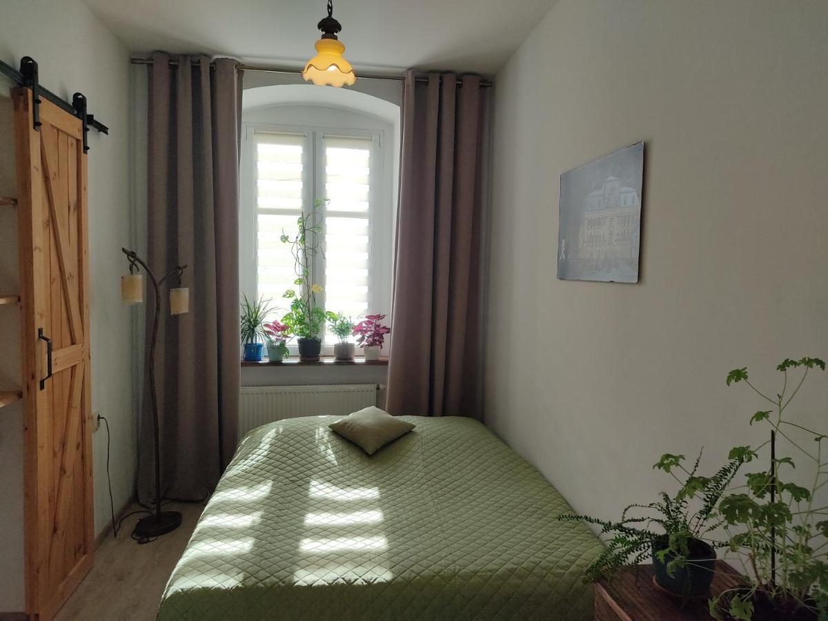 Apartament Przy Zamku 普什奇纳 外观 照片